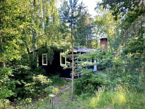 Log house in Asserbo on large natural plot