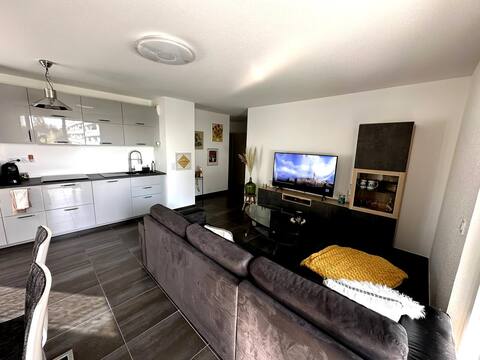 Beautiful apartment near Strasbourg