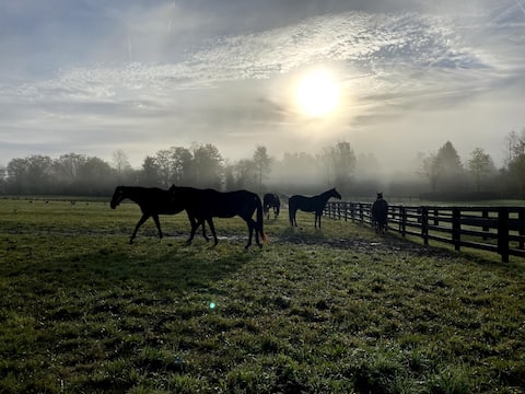 NEW 3 bedroom - Thoroughbred Farm & Lake Views!