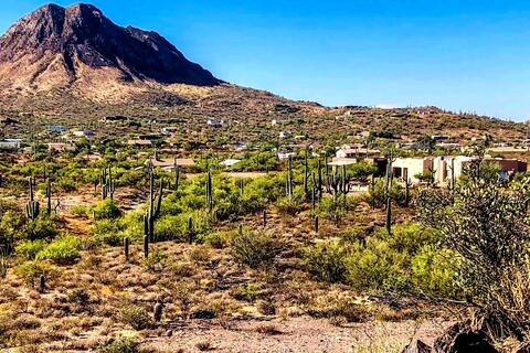 Enchanting desert oasis, pool & donkeys