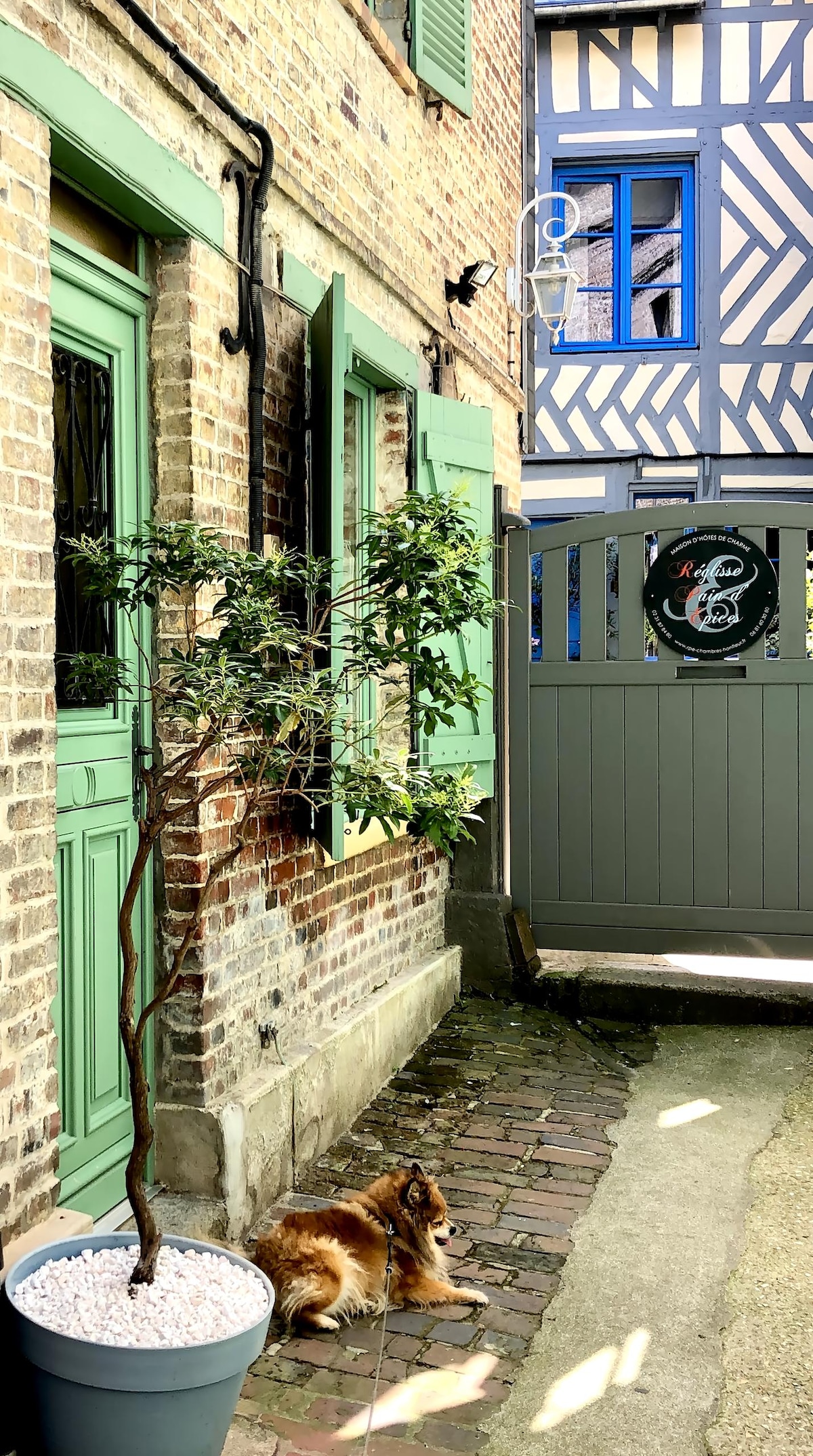 Top Airbnb: La Maison de Frédéric, Honfleur Center in Honfleur