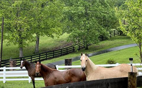 Barn Cottage on Horse Farm. Breakfast included.
