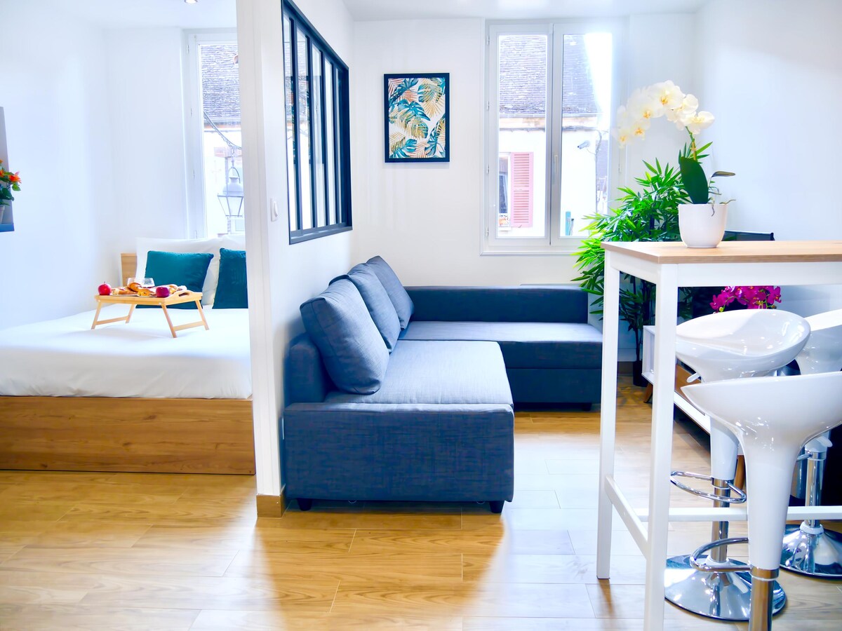 Annonce Airbnb populaire: 🌷Oasis in the Heart of the City 🌺 SENS 🏰 à Sens