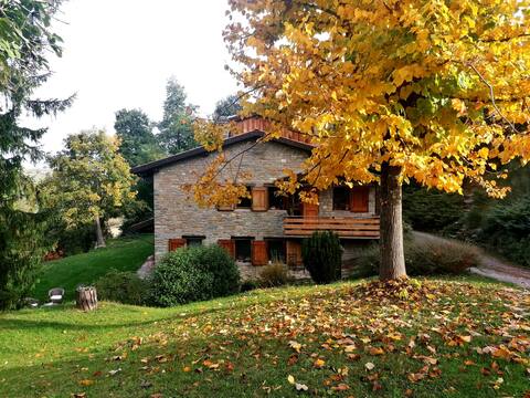 House with a view of nature_ 5