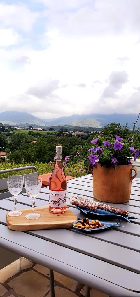 Small house "Au coeur des Vignes"