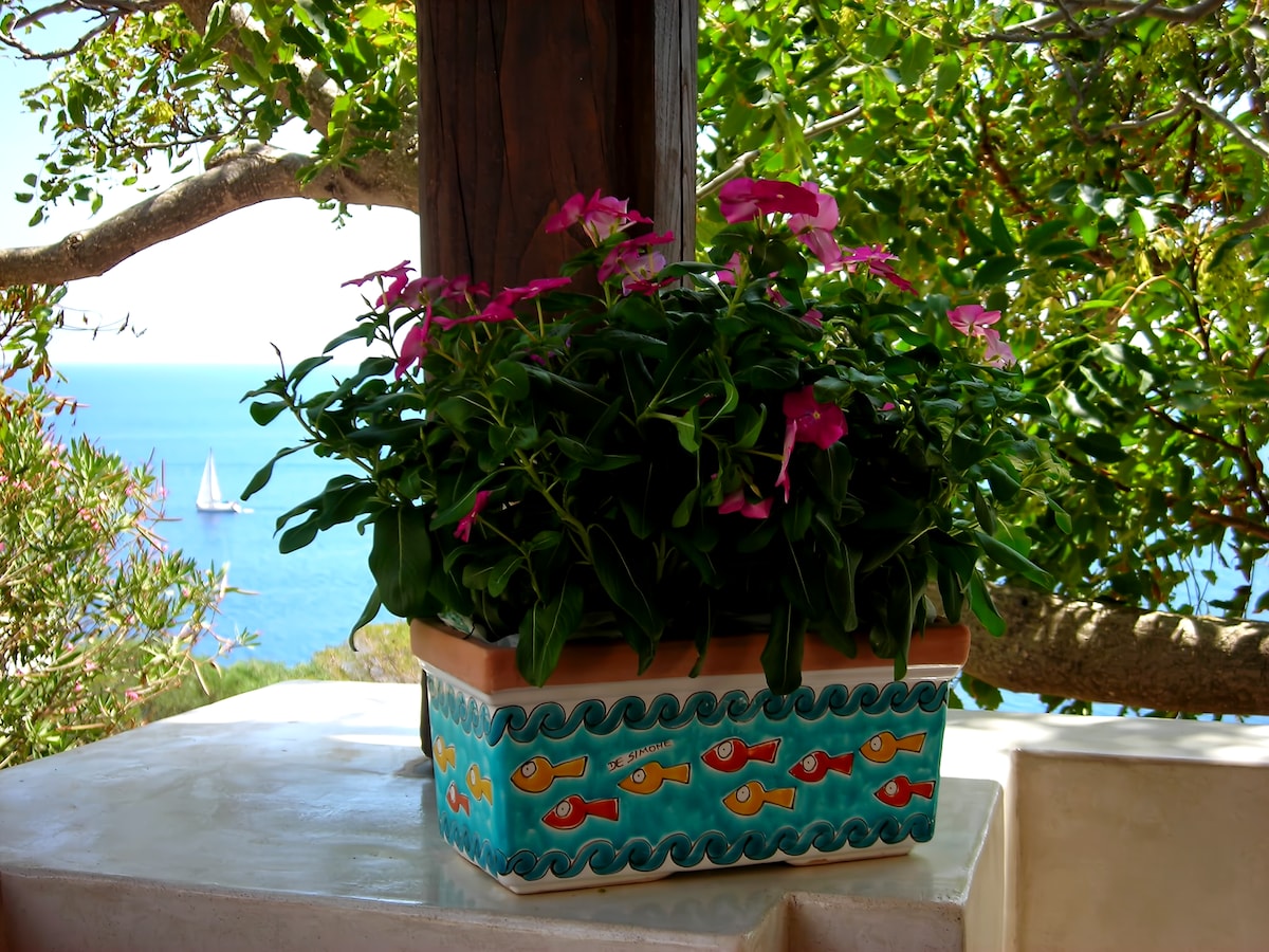 Annonce Airbnb populaire: Oasi Lavinia. By the sea. Peace, relaxation, comfort à Pantelleria