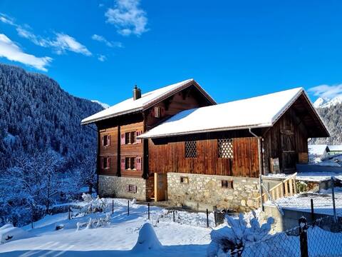 Fully peaceful WOODEN HOUSE, Surselva