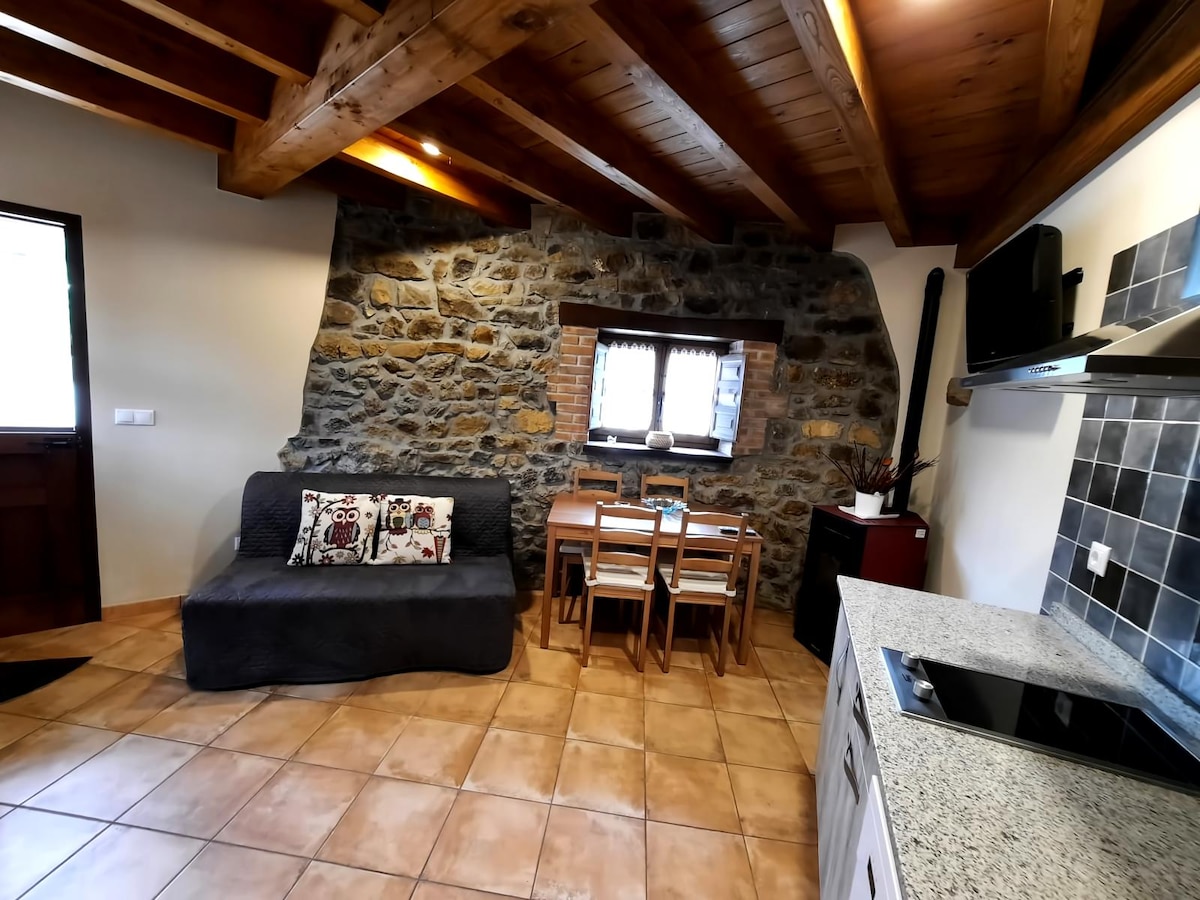 Popular Airbnb listing: "El Llagar" Apartment in Cangas De Onís