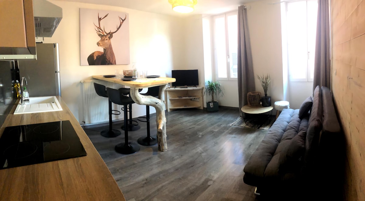 Annonce Airbnb populaire: Nice 2-bedroom in the heart of Barcelonnette à Barcelonnette