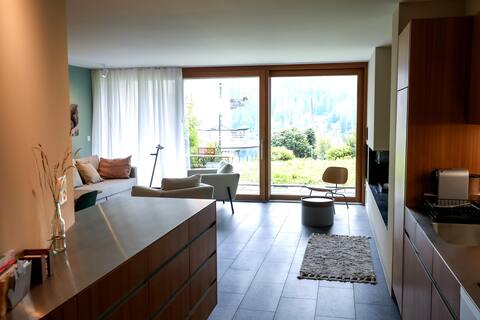 Modern apartment with garden seating area