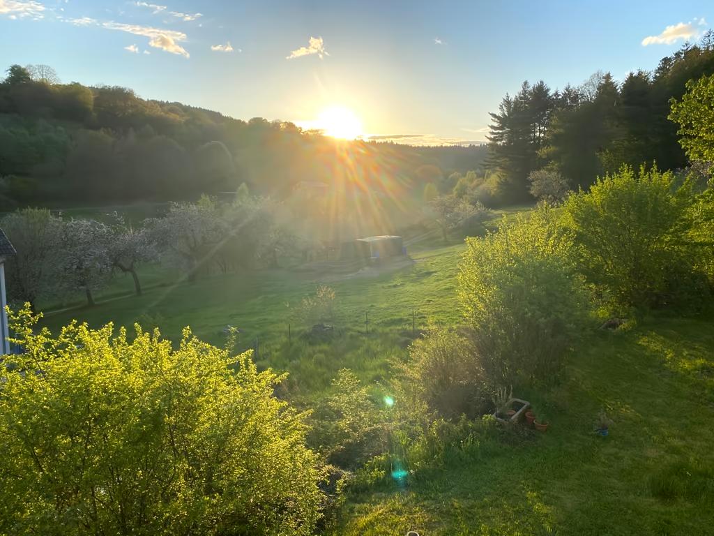 Erfolgreiche Airbnb-Immobilie: Modern boutique apartment on the outskirts in Aschaffenburg