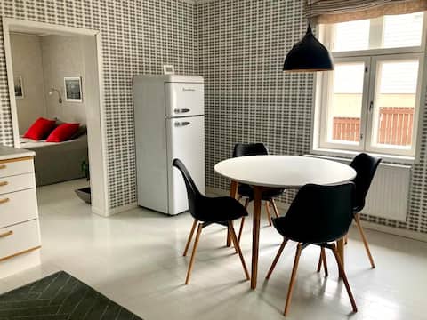 Cozy flat near center