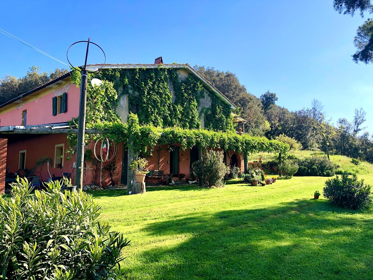 Proprietà Airbnb di successo: Tuscany house in a secluded location surrounded by nature a Bibbona