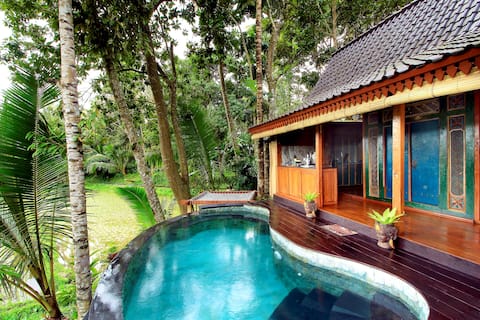 Chandra: Entire villa w/ private pool and kitchen