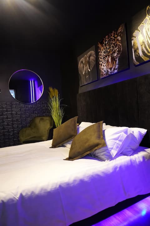 JungleSTUDIO - Brăila