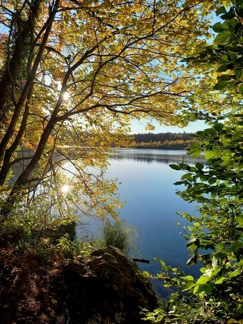 Beautiful quiet apartment with lake view