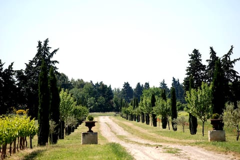 Beautiful Mas in the heart of a winery