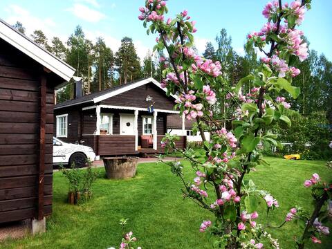 Cozy newly renovated cottage with loft