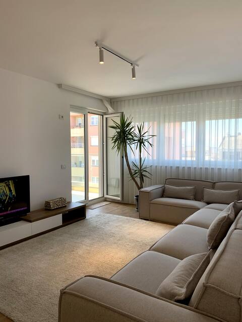 Luxury Apartment