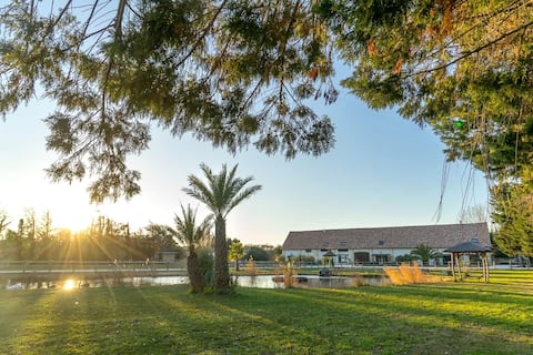 Beautiful Mas Camarguais with swimming pool