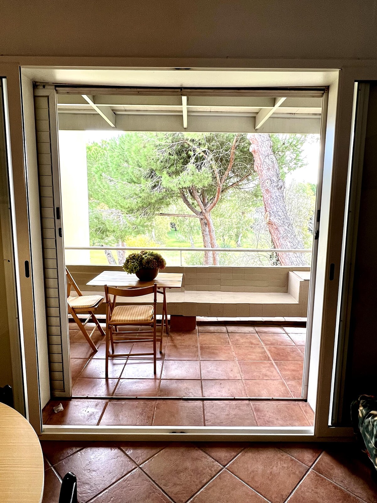 Proprietà Airbnb di successo: Studio with pool in Marina di Bibbona a Bibbona