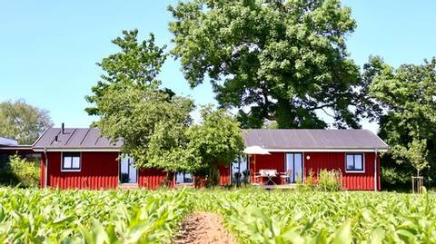 Scandinavian country house with wide views over fields
