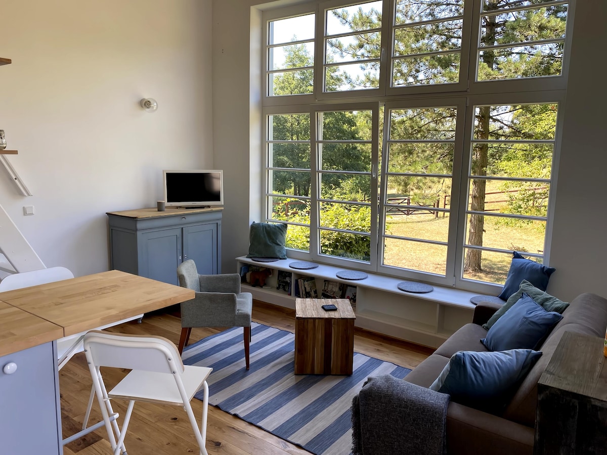 Proprietà Airbnb di successo: Studio house on an idyllic equestrian facility a Mettmann