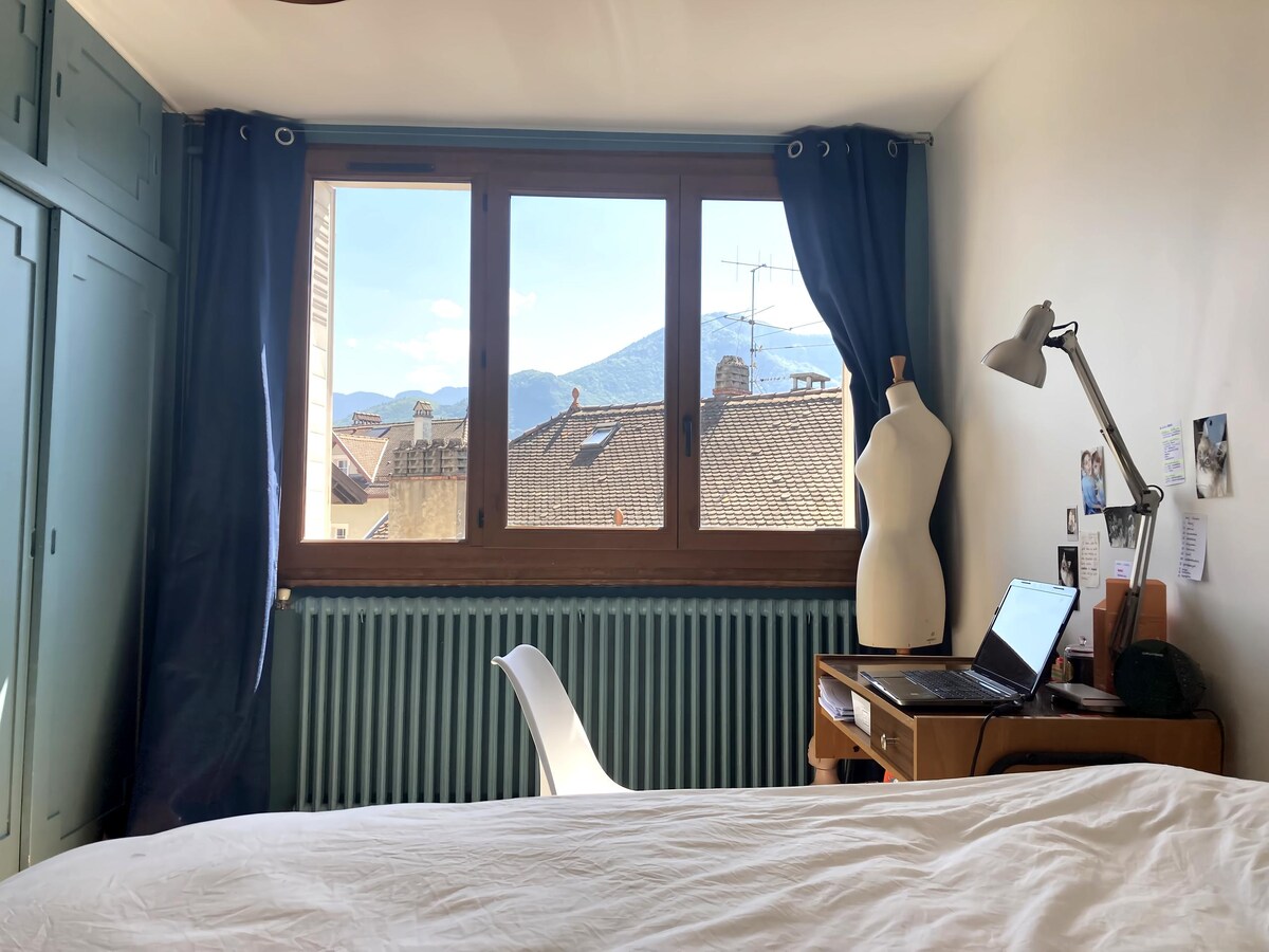 Successful Airbnb property: Charming apartment in the center with parking. in Annecy