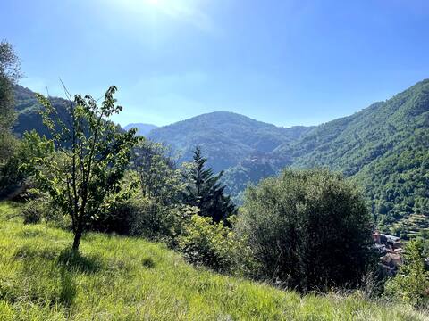 Peaceful cottage in the Ligurian hills