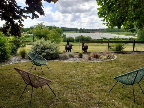 Donkey lodge (Family house-13couchages)