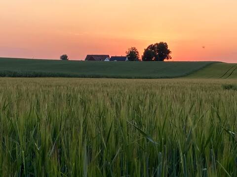 Farmhouse Wing in Skåne