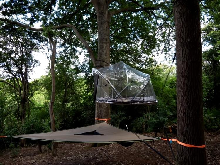 Popular Airbnb listing: Tiny bubble tree tent in Maidstone