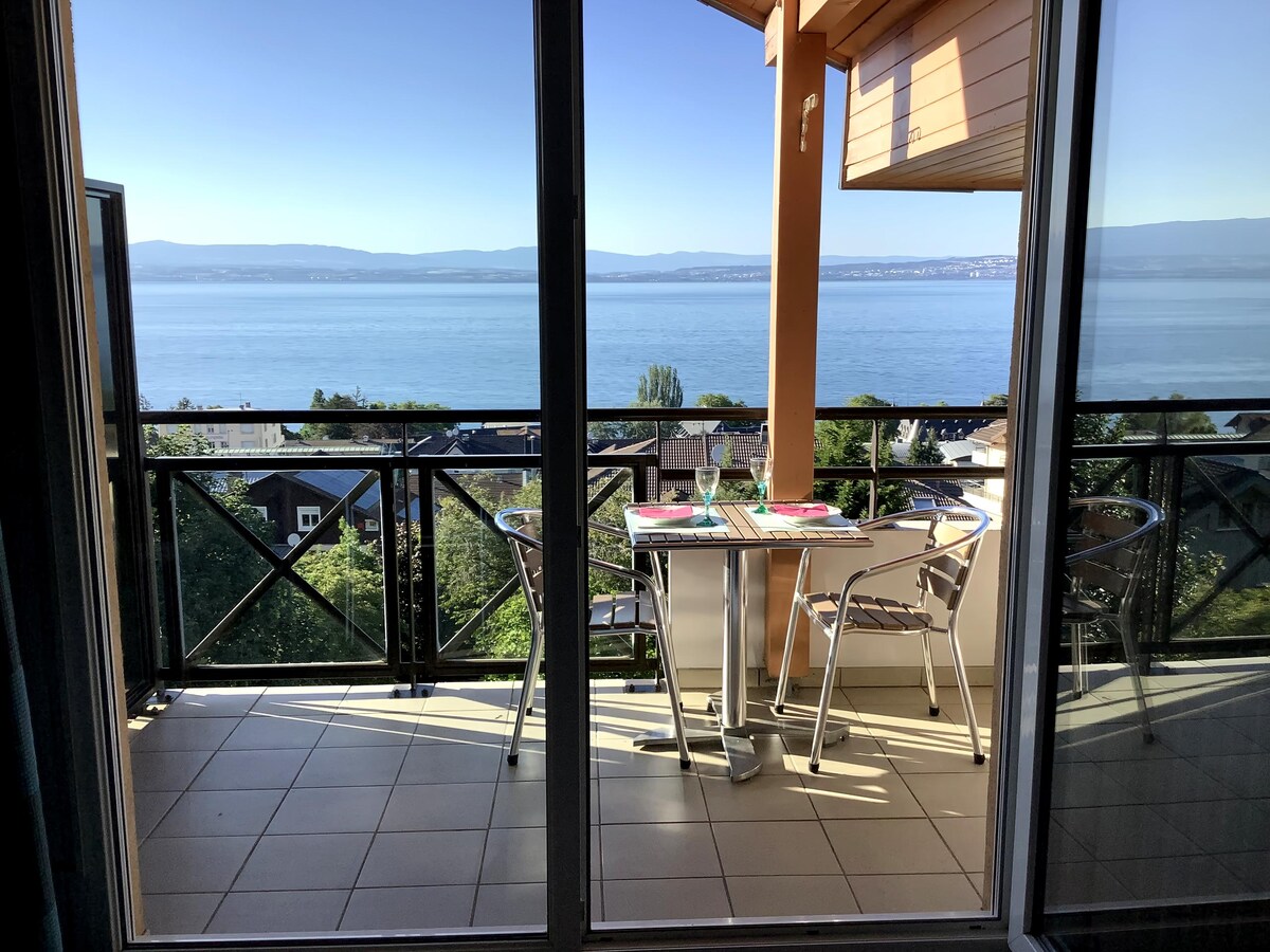 Top Airbnb: [NEW] Evian, stunning lake view en évian Les Bains