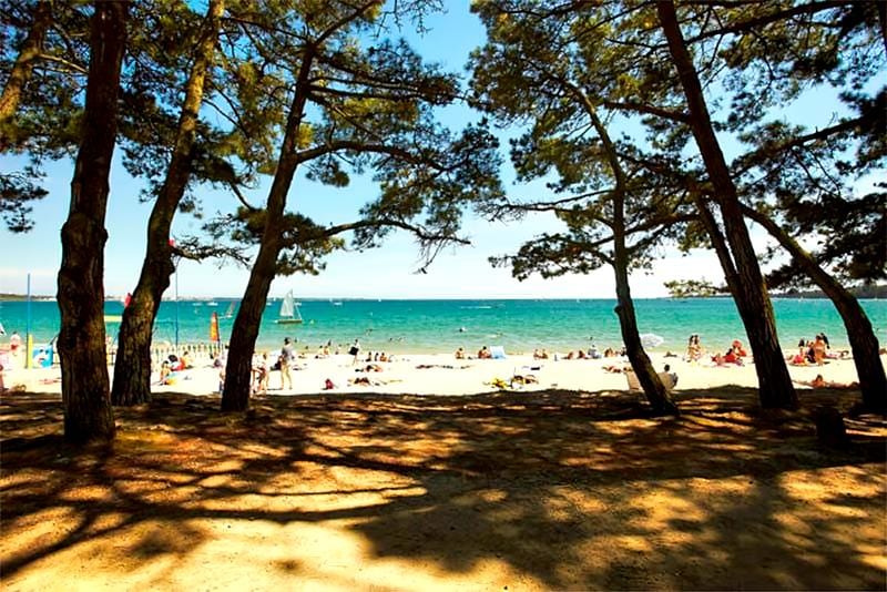 Top performing Airbnb: Apartment 400 m from Cap Coz Beach in Fouesnant