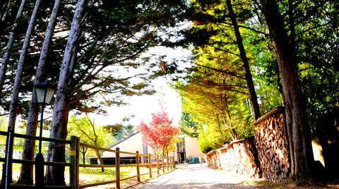 Equestrian Stage - La Prairie