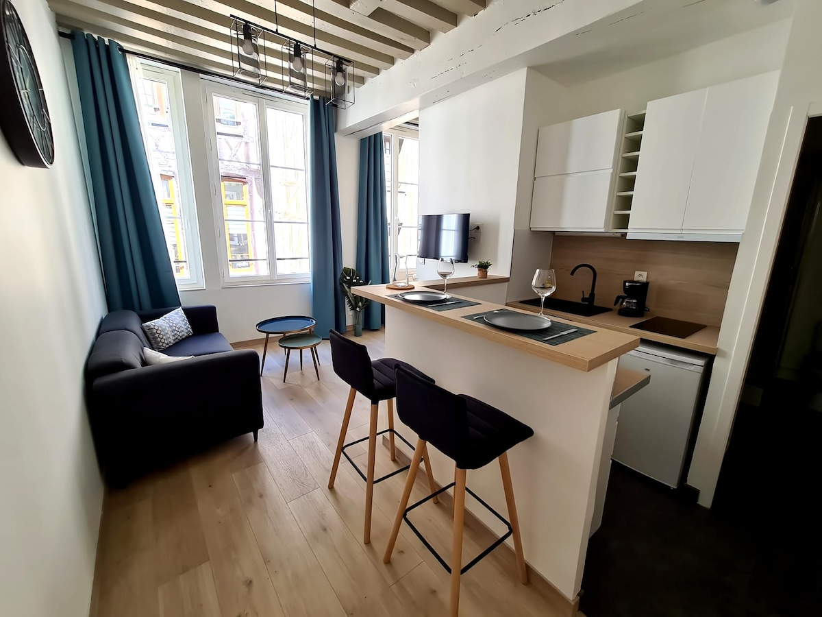 Airbnb performant: Le Vieux Palais, 2 people, Rouen hypercenter à Rouen