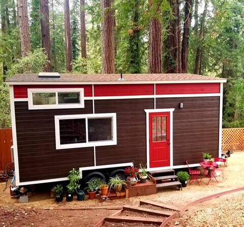 Delightful Tiny Home in the Redwoods !