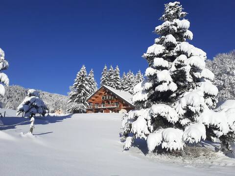 The Cabin of the Starts (SPA-View-Stillness)