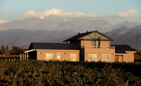 House between vineyards overlooking the Cordillera
