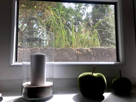 Apartment in upscale location