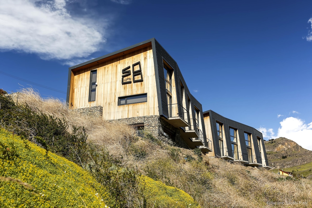 Top performing Airbnb: Only Loft, with the best mountain view. in El Chaltén
