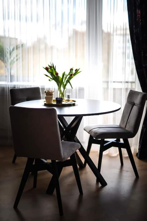 Newly furnished apartment in the city center