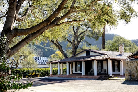 Historic Adobe 4 Beds & 3 baths w/ Vineyard Views