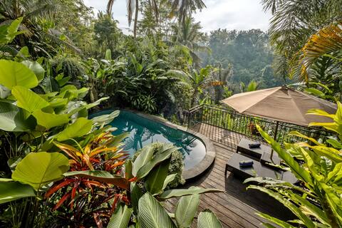 Peaceful 1-Bedroom Villa with Lush Jungle View