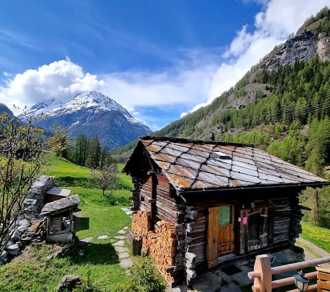 Le Crocoduche, Favorite Chalet