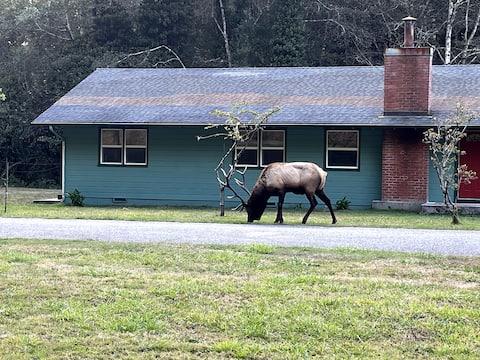 Heart of the Redwoods-HOP(E) Cottage