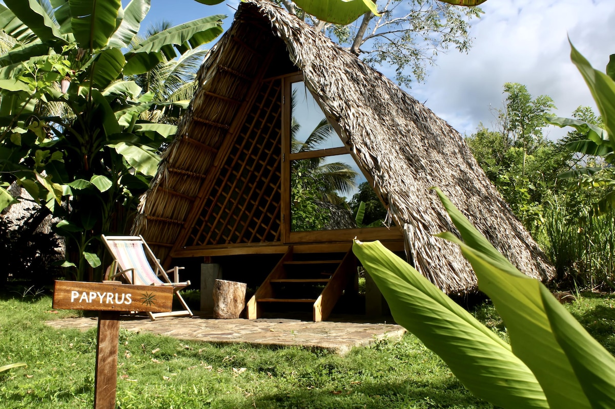 Dragon's Garden-Tiny Lodge #1 - Bed and breakfasts for Rent in Mérida, Rivas, Nicaragua