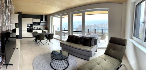 Modern penthouse with lake_mountain view