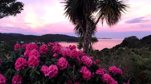 Bellbird Retreat Stewart Island