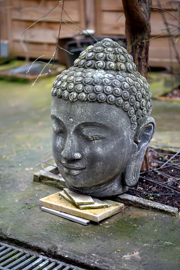 Top performing Airbnb: Centrally ideal for 7 people+terrace in Ehrenfeld